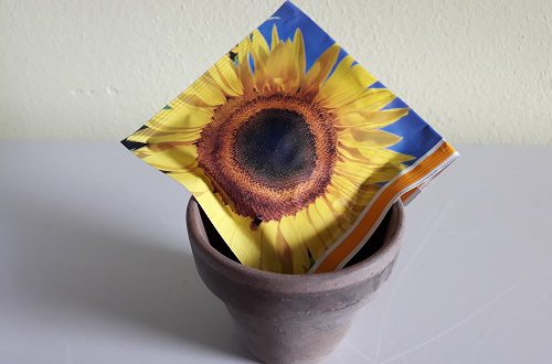 De zonnebloem staat voor groei